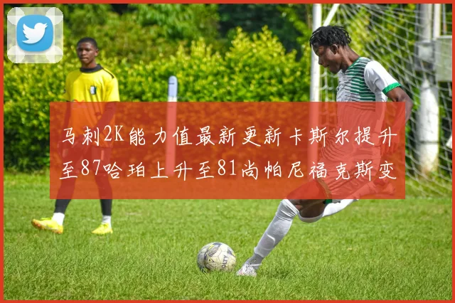 马刺2K能力值最新更新卡斯尔提升至87哈珀上升至81尚帕尼福克斯变动分析