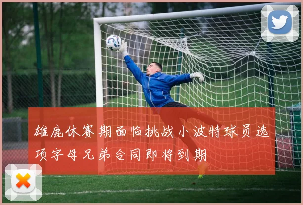雄鹿休赛期面临挑战小波特球员选项字母兄弟合同即将到期
