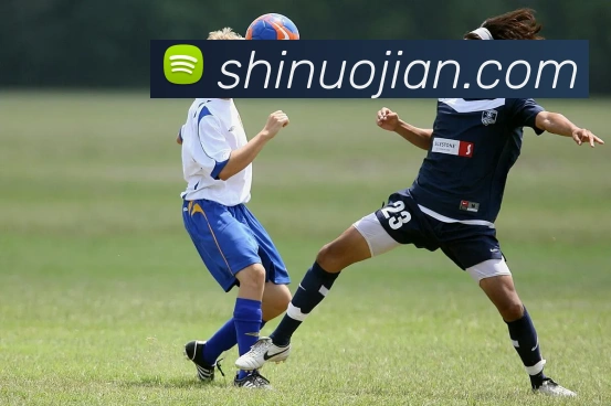 beat365唯一官方网站APP 封面图